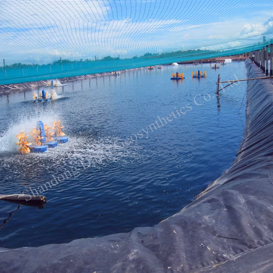1mm Material de Construção Reservatório Geossintético de Engenharia Plástico Revestimento de Lagoa de Peixes Folha de Revestimento à Prova D' Água Geomembrana HDPE