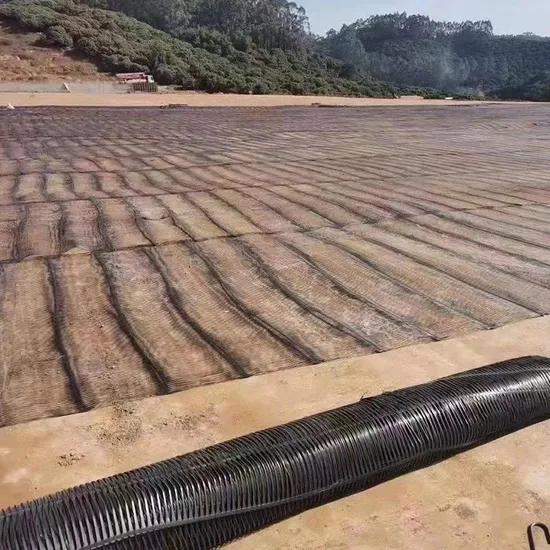Factory Price Plastic Polypropylene PP Biaxial Uniaxial Geogrids for Construction