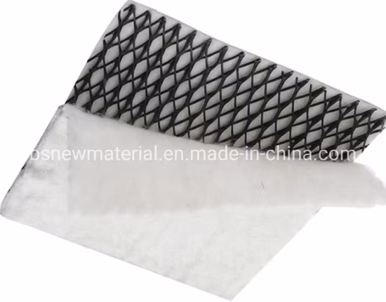 Geocomposite HDPE Plastic Drainage Geonet Tri-Planer, for Landfill/Retaining Wall/Subgrade/Railway/Road Drainage Good Price