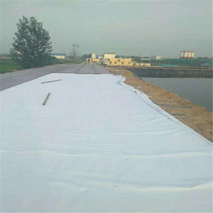 300g 350g 400g Strength Polypropylene Short Fiber Needled Geotextile for Road Use