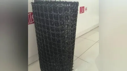 3D Composite Drainage HDPE Geonet 300GSM in Landfill Network