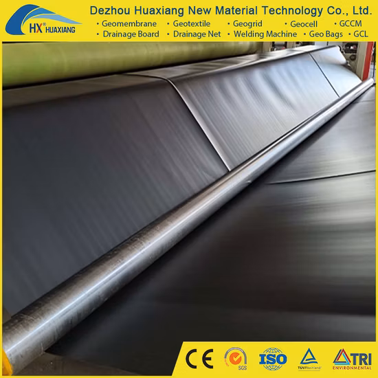 Geomembrana HDPE Revestimento de lago de peixes Revestimento de lago de peixes Fazenda Geomembrana Preço Venda global