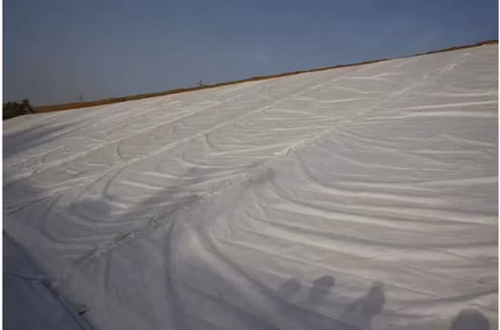 Tecido não tecido geotêxtil 100% animal de estimação/PP de alta resistência