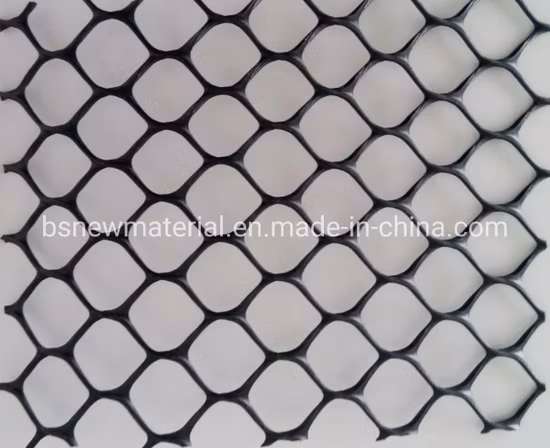 Plástico HDPE Geonet para Muro de Contenção Bom Preço