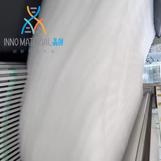 Geotêxteis 100% poliéster não tecido para estrada à prova d'água para paisagem