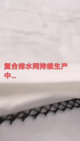 Geonet de drenagem de geocomposto de 6 mm usado em aterro sanitário