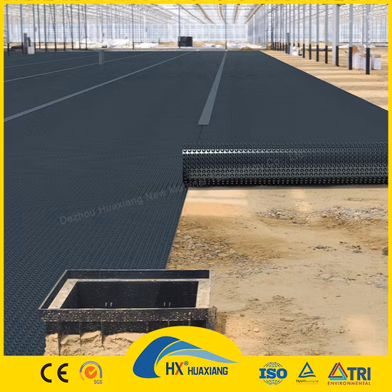 0,2 mm/0,5 mm/1,0 mm/2,0 mm Forro de folha de plástico preto CE/ASTM Viring Impermeabilização Geomembrana HDPE para agricultura/barragem/aterro/lago/biogás/projeto de aquicultura