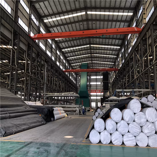 0,3 mm 0,5 mm 0,75 mm 1,0 mm 1,5 mm 2,0 mm Liso Branco Preto Verde Azul HDPE LLDPE Geomembrana à prova d'água para forro de lagoa agrícola no Sri Lanka